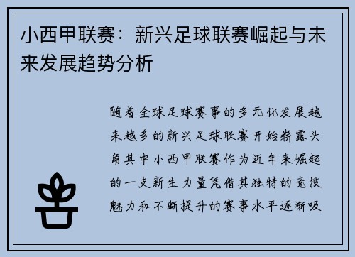 小西甲联赛：新兴足球联赛崛起与未来发展趋势分析