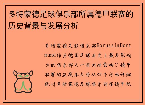 多特蒙德足球俱乐部所属德甲联赛的历史背景与发展分析